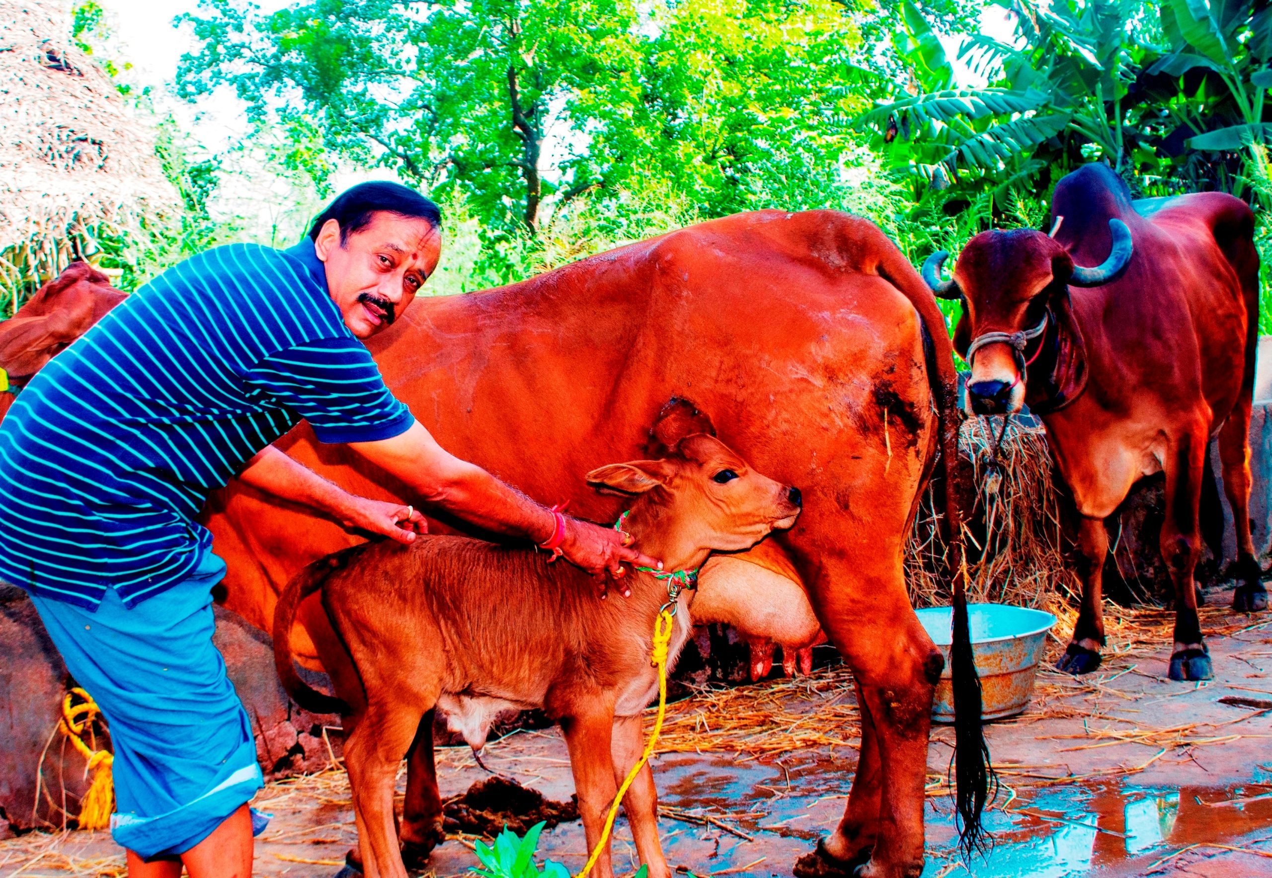 PB_H.Raja