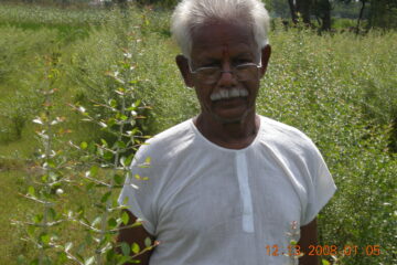 Henna as a Suitable Crop for Rainfed Farming!