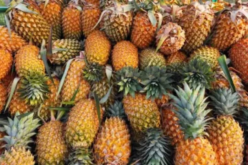 Pineapple: The Marvelous Fruit!